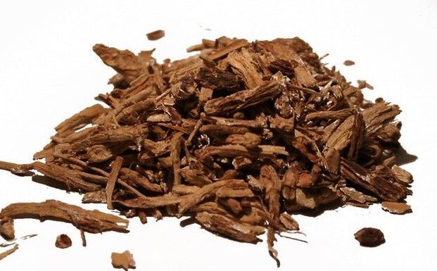 Chicory root - an effective folk remedy for combating parasites