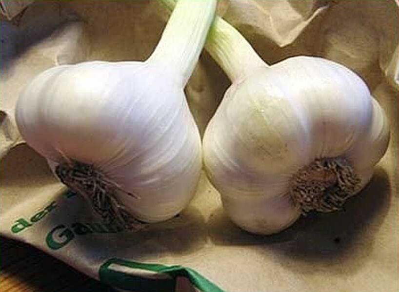 Garlic to prepare antiparasitic suppositories or strains