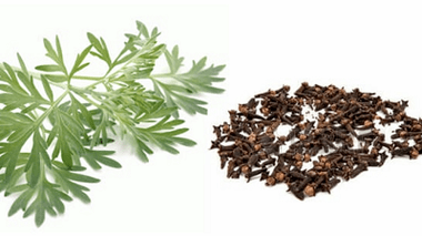 Teeth and worms to get rid of parasites from the body