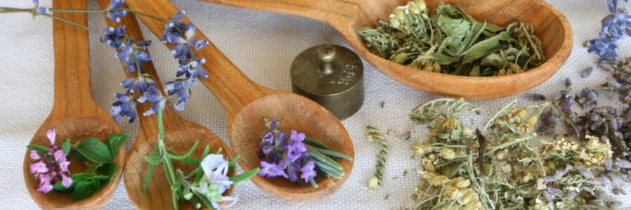 Combined herbal preparations against worms